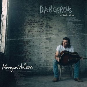 Morgan wallen album canvas poster 11.5x12